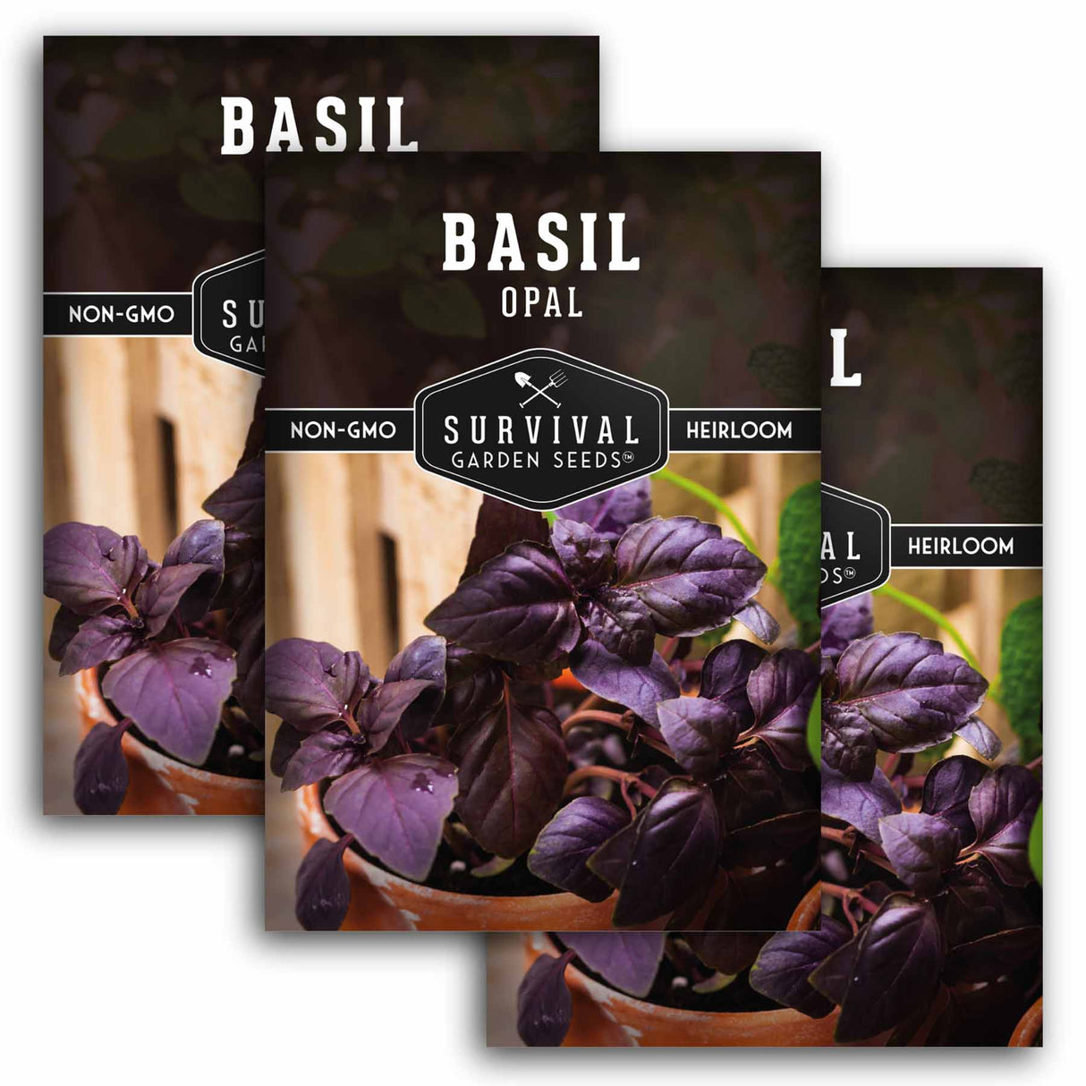 Opal Basil Seeds – Deep Purple Sweet Basil for Culinary Use & Ornamental Gardens