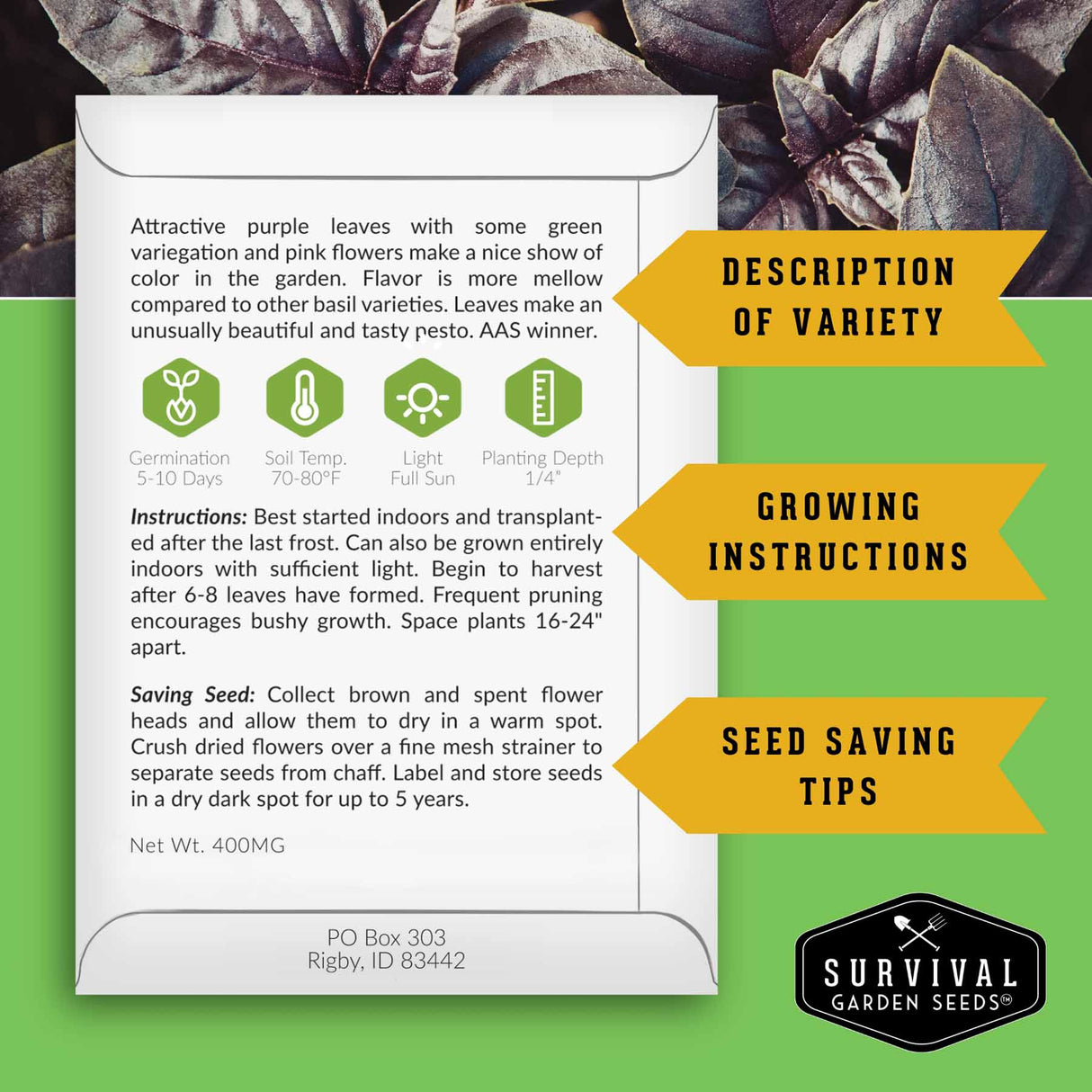 Seed packet with growing instructions and seed saving tips on a green background