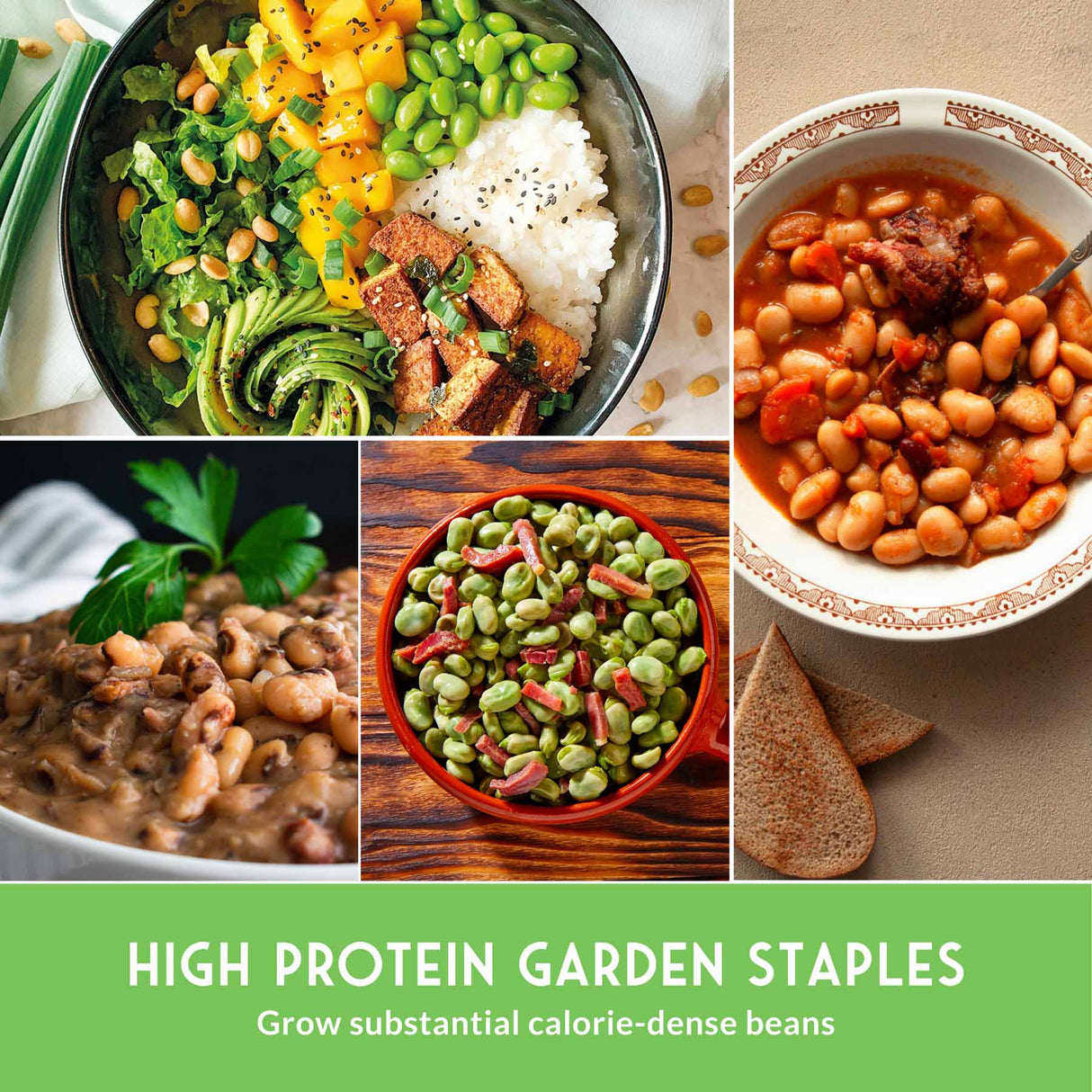 Collage of high protein garden staples including beans, greens, and grains with a green banner at the bottom.