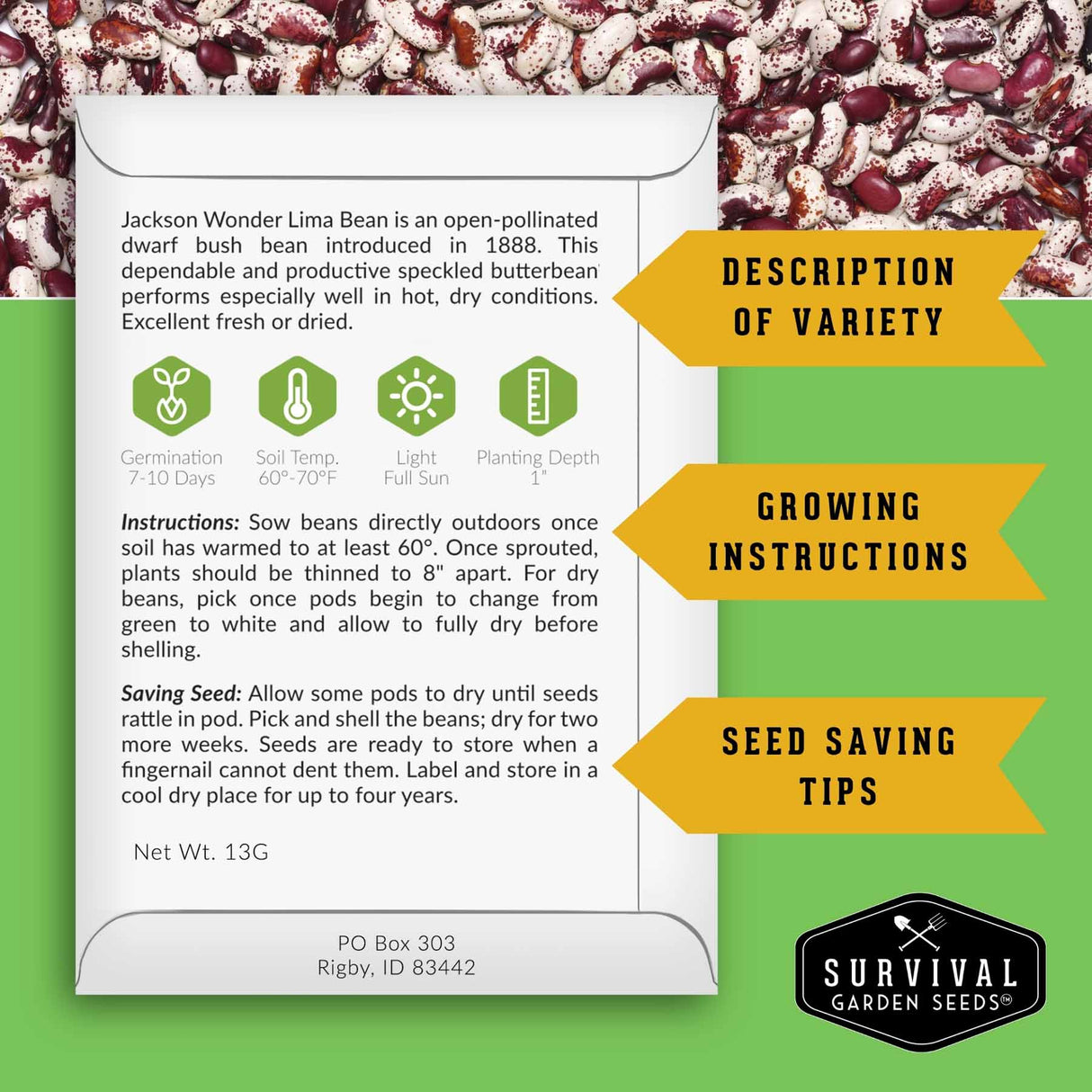 A product information card for Jackson Wonder Lima Bean from Survival Garden Seeds, featuring growing instructions, seed saving tips, and variety description. The card is styled on a green and white background with a photo of dried lima beans at the top and yellow callout arrows pointing to sections labeled 'Description of Variety', 'Growing Instructions', and 'Seed Saving Tips'.