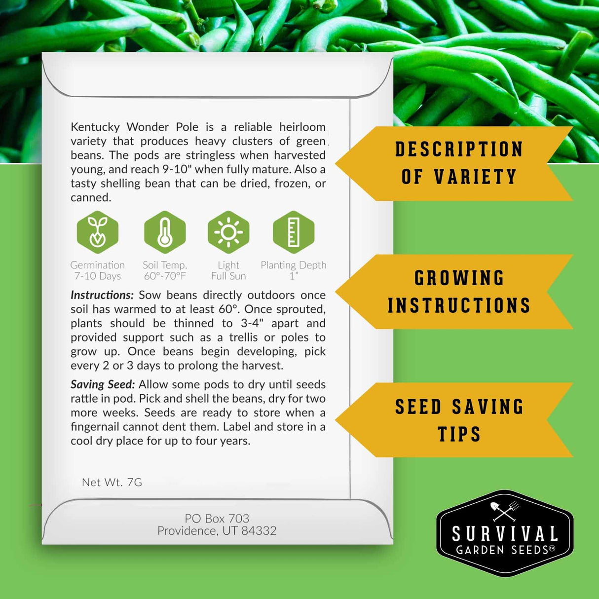 Kentucky Wonder Pole green bean seed packet with growing instructions and seed saving tips on a green background.