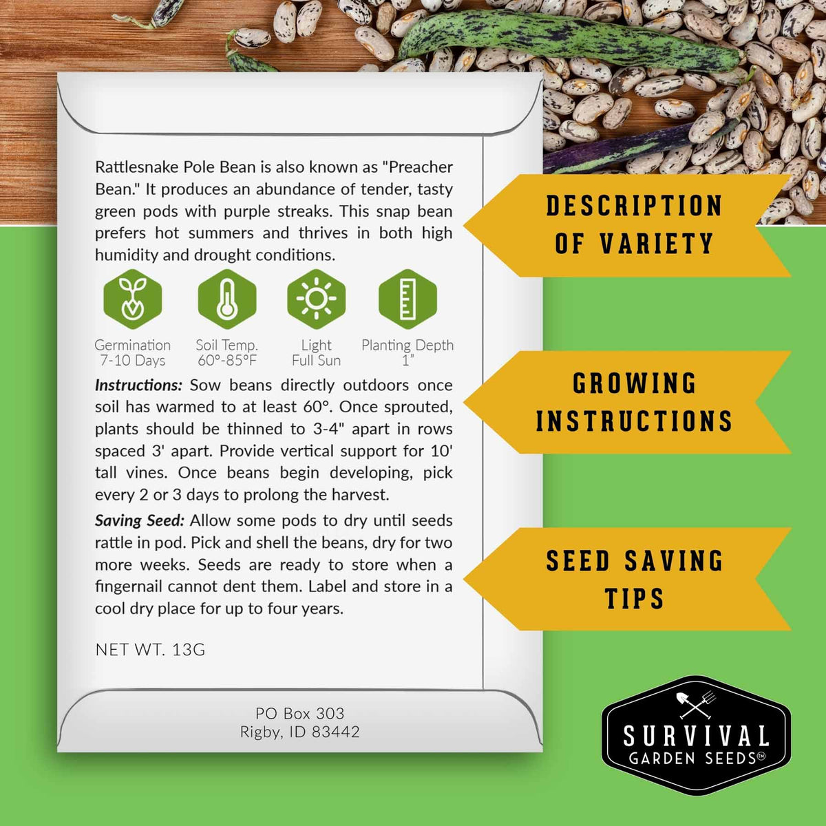 An informational poster for Rattlesnake Pole Bean seeds by Survival Garden Seeds, featuring growing instructions, seed saving tips, and variety description on a green background with a wood texture header and bean pile at the top.