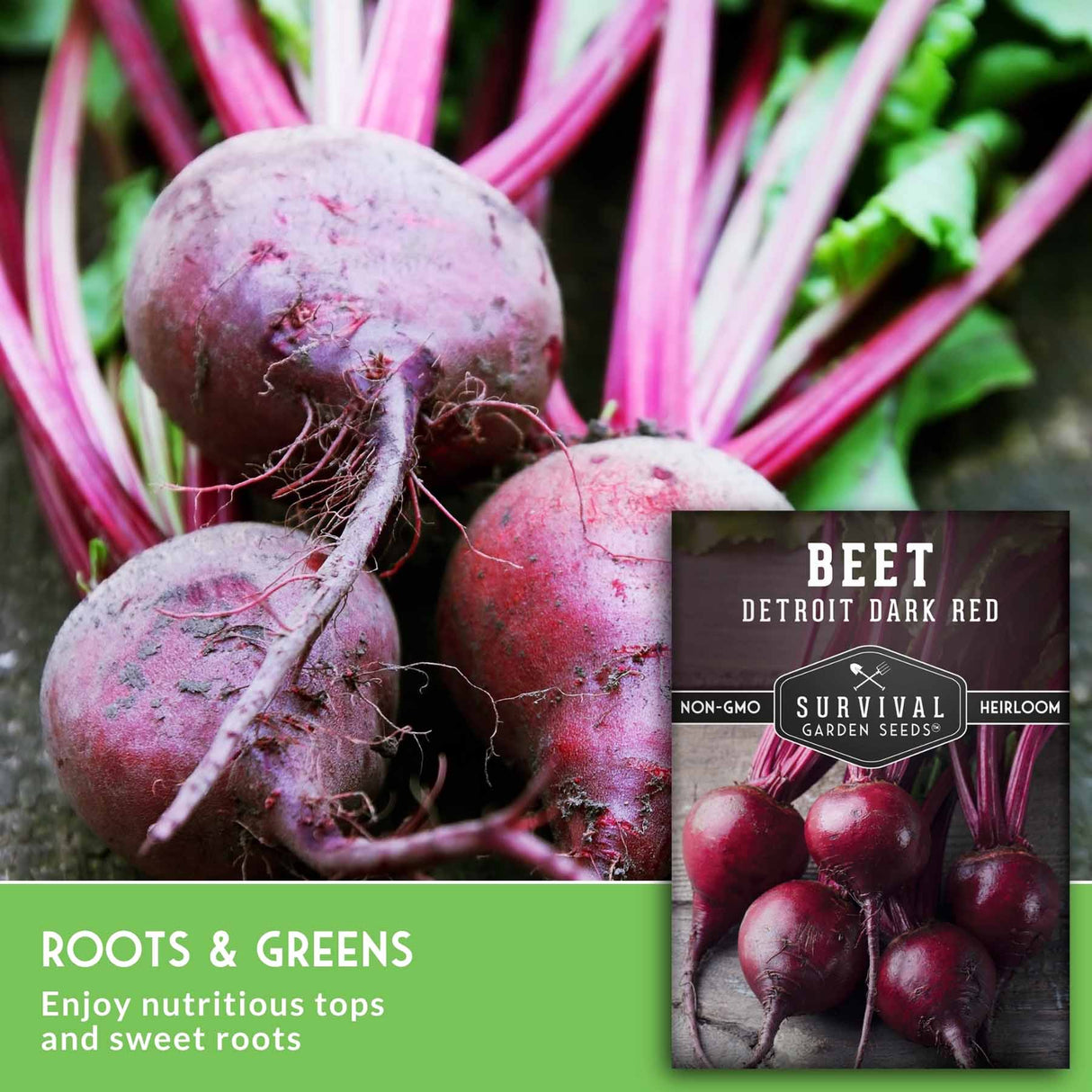 Fresh red beets with deep pink stems and green leaves shown alongside a seed packet labeled 'Beet Detroit Dark Red' and a green banner reading 'Roots & Greens'.
