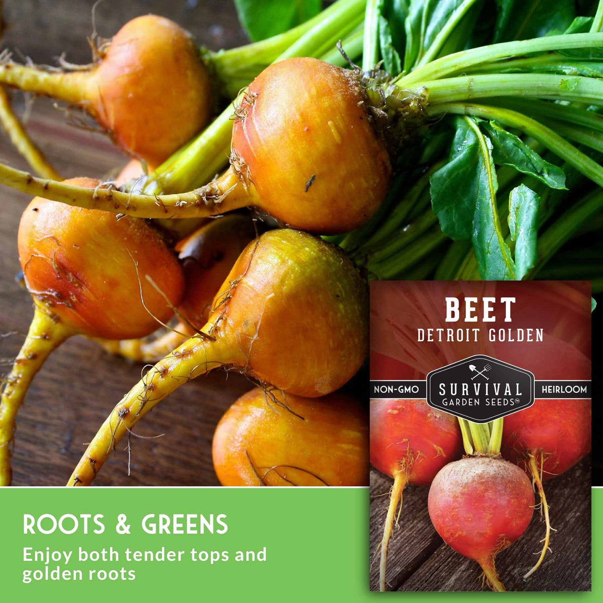 Fresh Detroit Golden beets with green tops and yellow roots shown alongside a seed packet labeled 'Beet Golden' and 'Survival Garden Seeds.' Text at the bottom reads 'Roots & Greens Enjoy both tender tops and golden roots.
