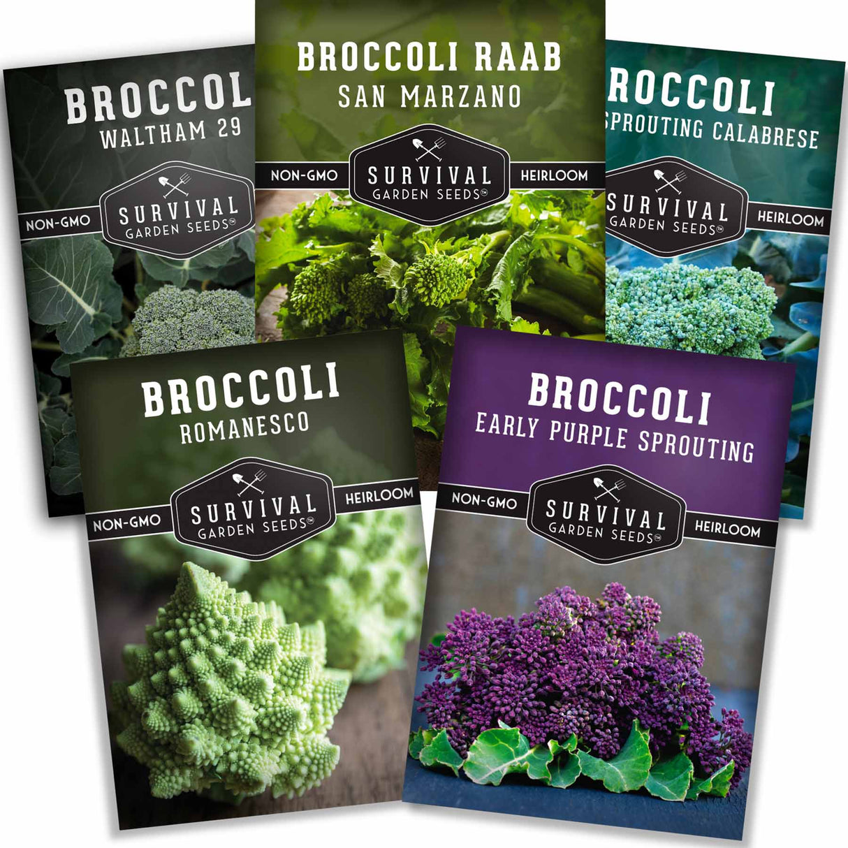 Five packages of Survival Garden Seeds with different types of broccoli on a white background