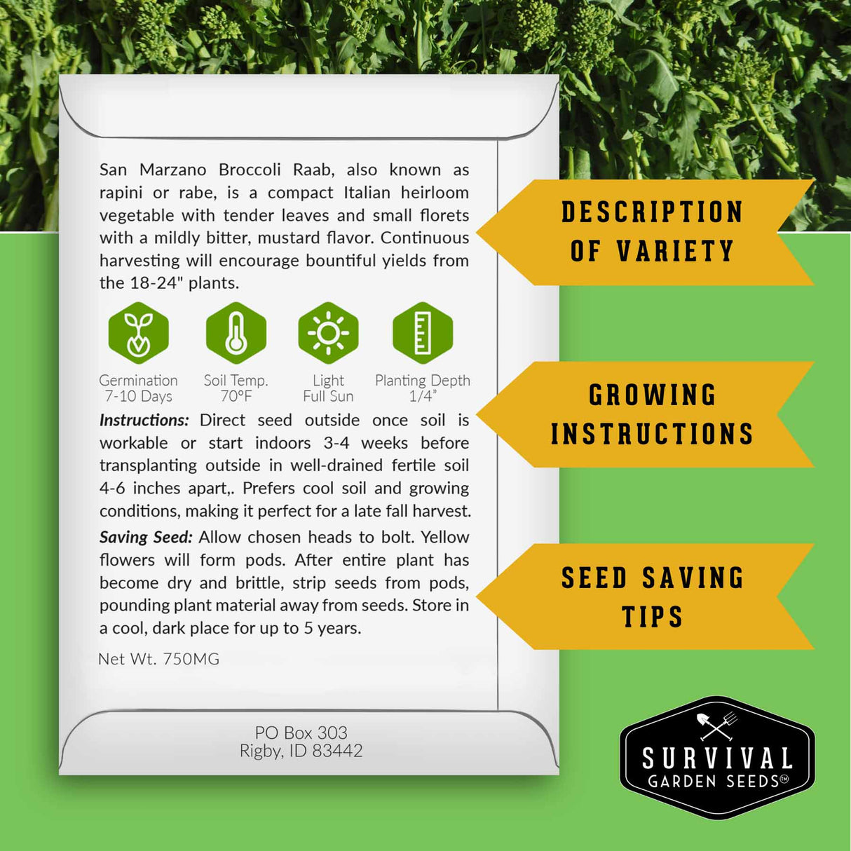 Seed packet with growing instructions and variety details on a green background