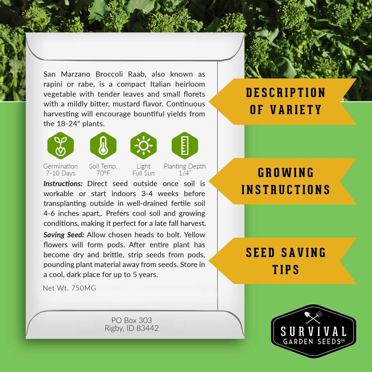 A seed packet insert for San Marzano Broccoli Rabi from Survival Garden Seeds, displayed on a green leafy background with three yellow callout arrows pointing to description, growing instructions, and seed saving tips.