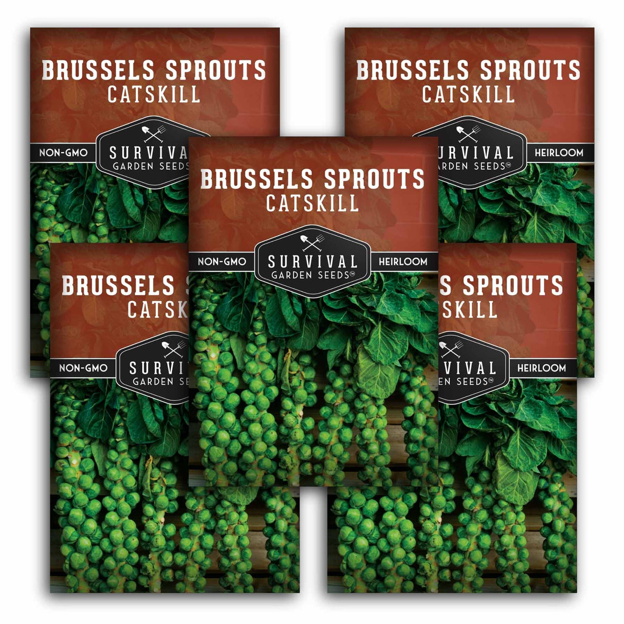 Three packages of Survival Garden Seeds Brussels Sprouts Catskill on a white background
