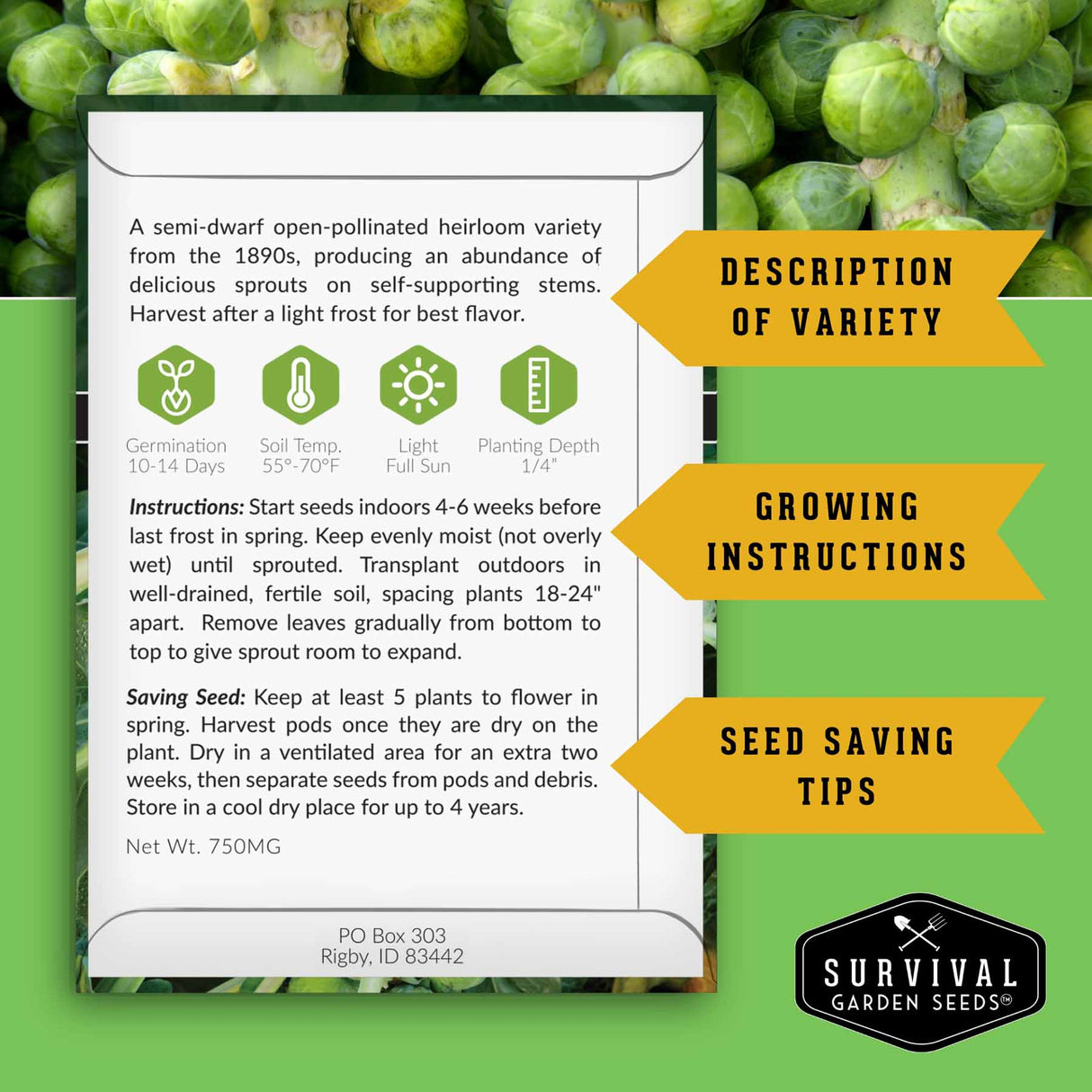 Brussels Sprouts seed packet back with growing instructions and seed saving information