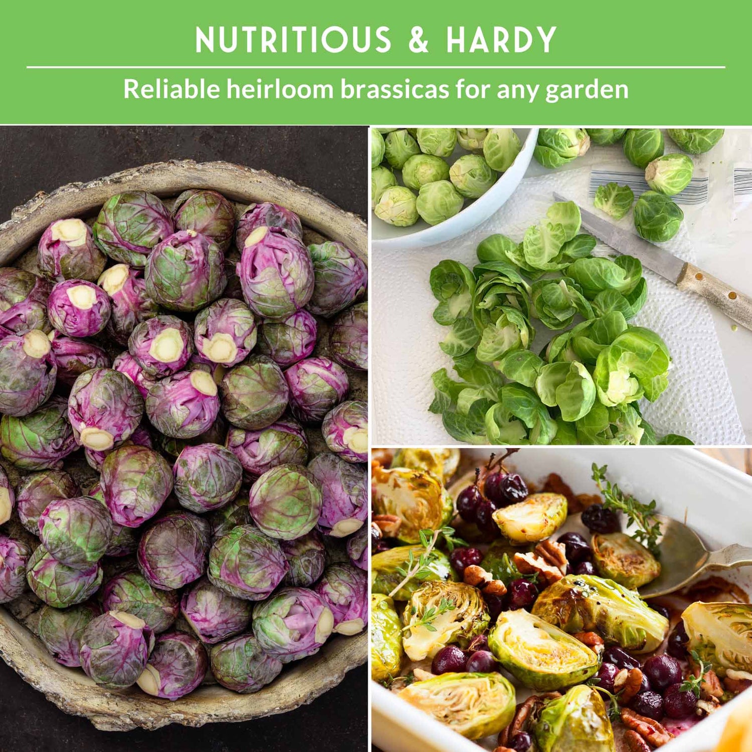 Brussels sprouts in various forms with text 'Nutritious & Hardy' on a green background