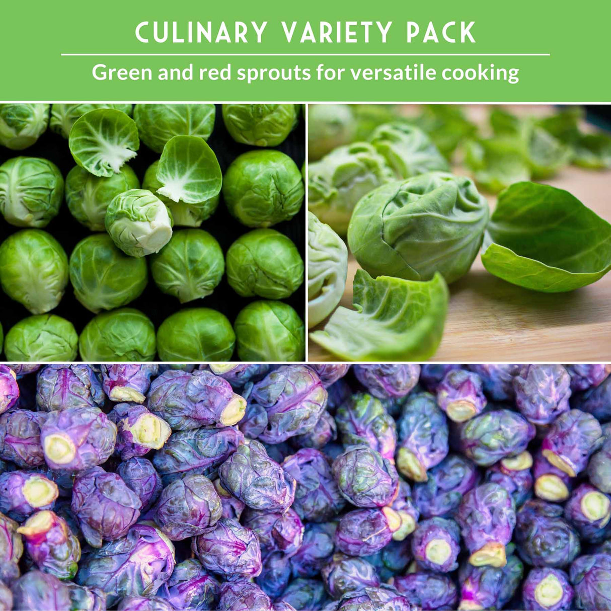 Culinary variety pack of green and red sprouts with text on a green background.