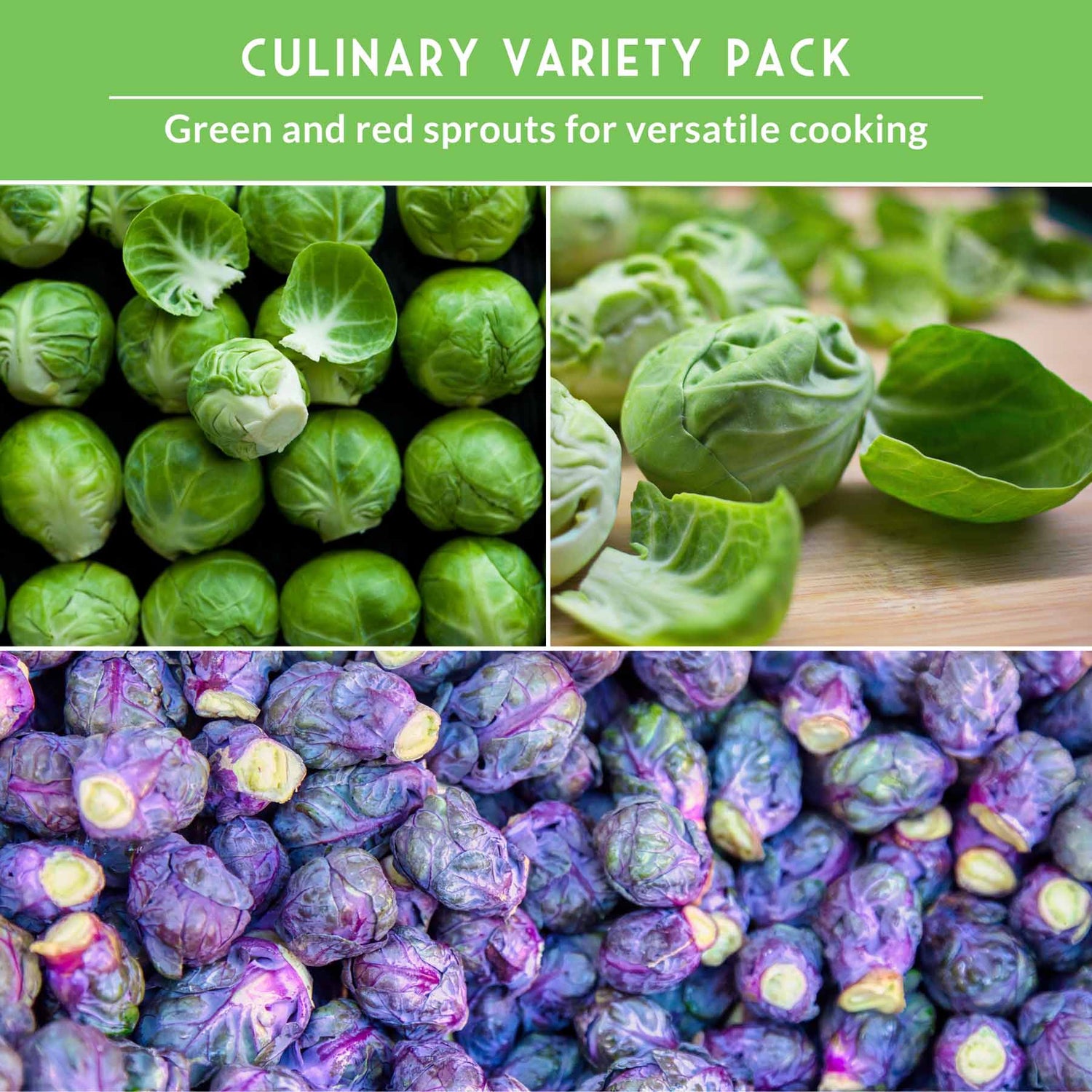 Culinary variety pack of green and red sprouts with text on a green background.