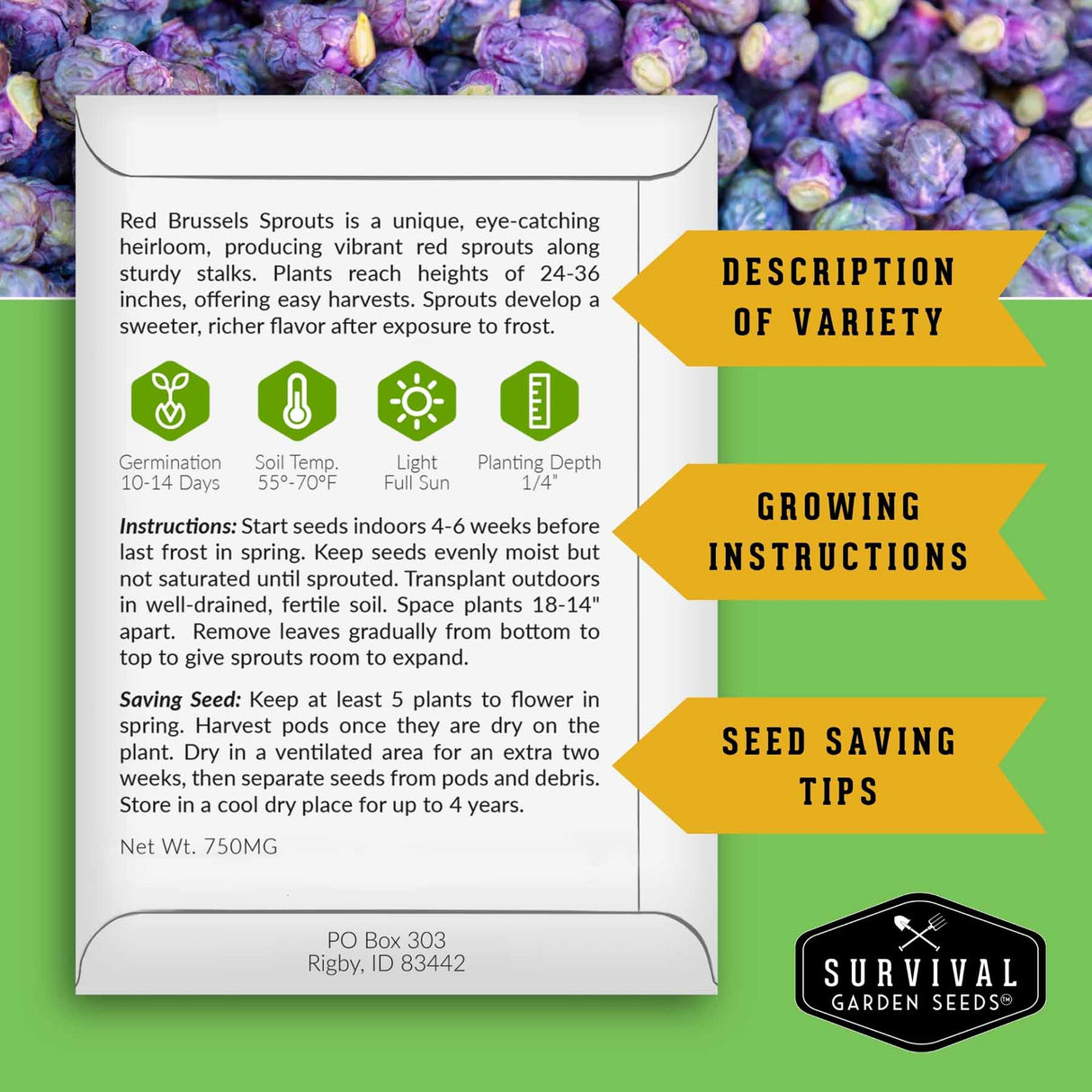 A product information card for Survival Garden Seeds Red Brussels Sprouts, featuring growing instructions, seed saving tips, and variety description, set against a green and purple background with decorative callout arrows.