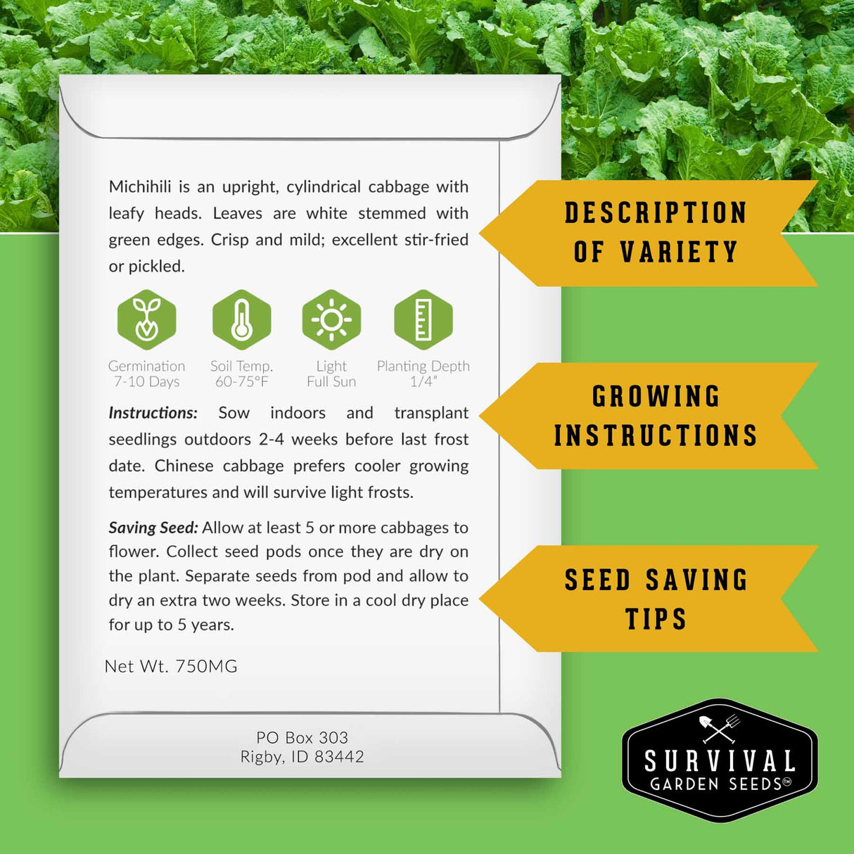 Michihili Cabbage seed packet back with growing instructions and seed saving information