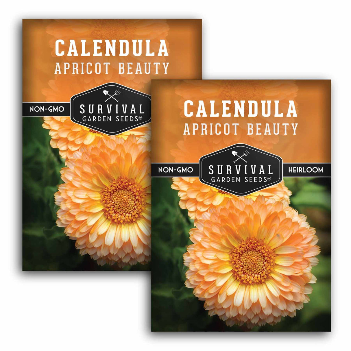 Two packages of Survival Garden Seeds Calendula Apricot Beauty with a close-up of the flower.
