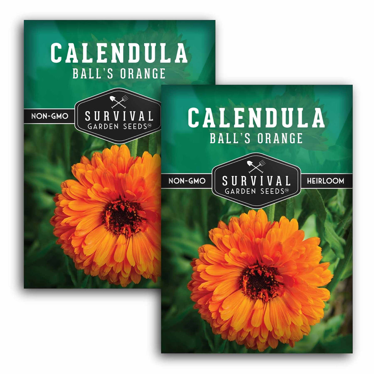 Two packages of Survival Garden Seeds Calendula Ball's Orange with images of calendula flowers on a white background.