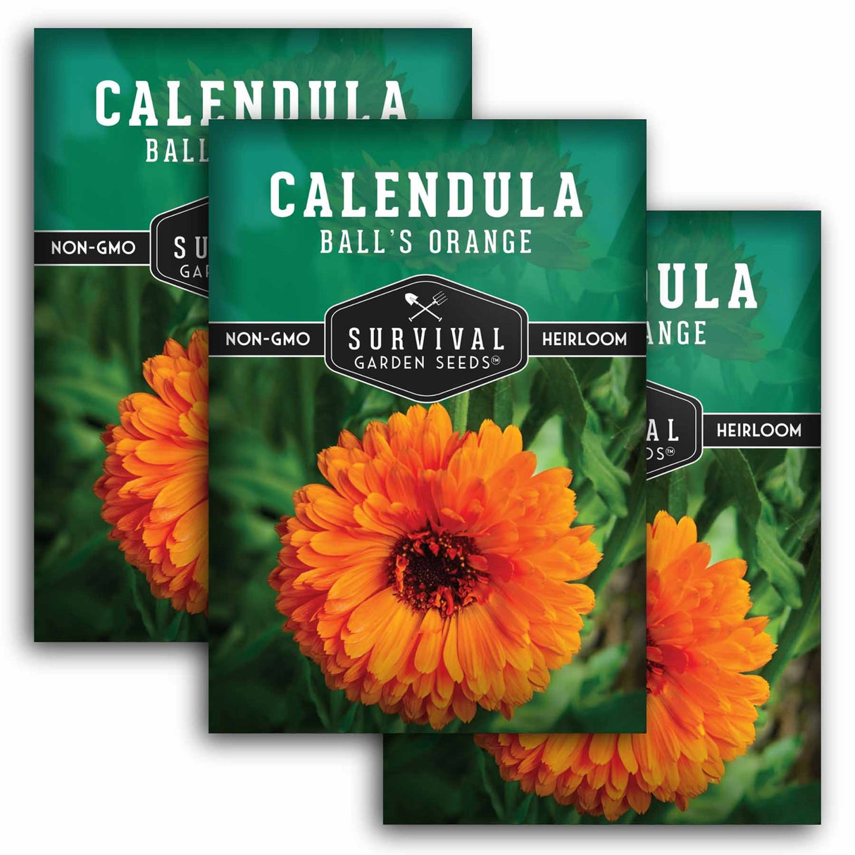 Three packages of Calendula seeds with orange flowers on a white background