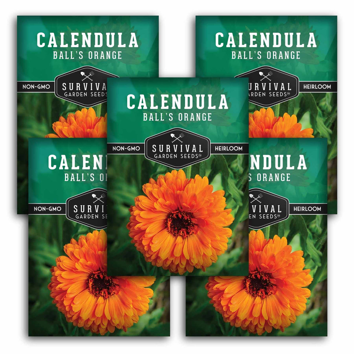 Five packages of Survival Garden Seeds Calendula Ball's Orange with images of calendula flowers.