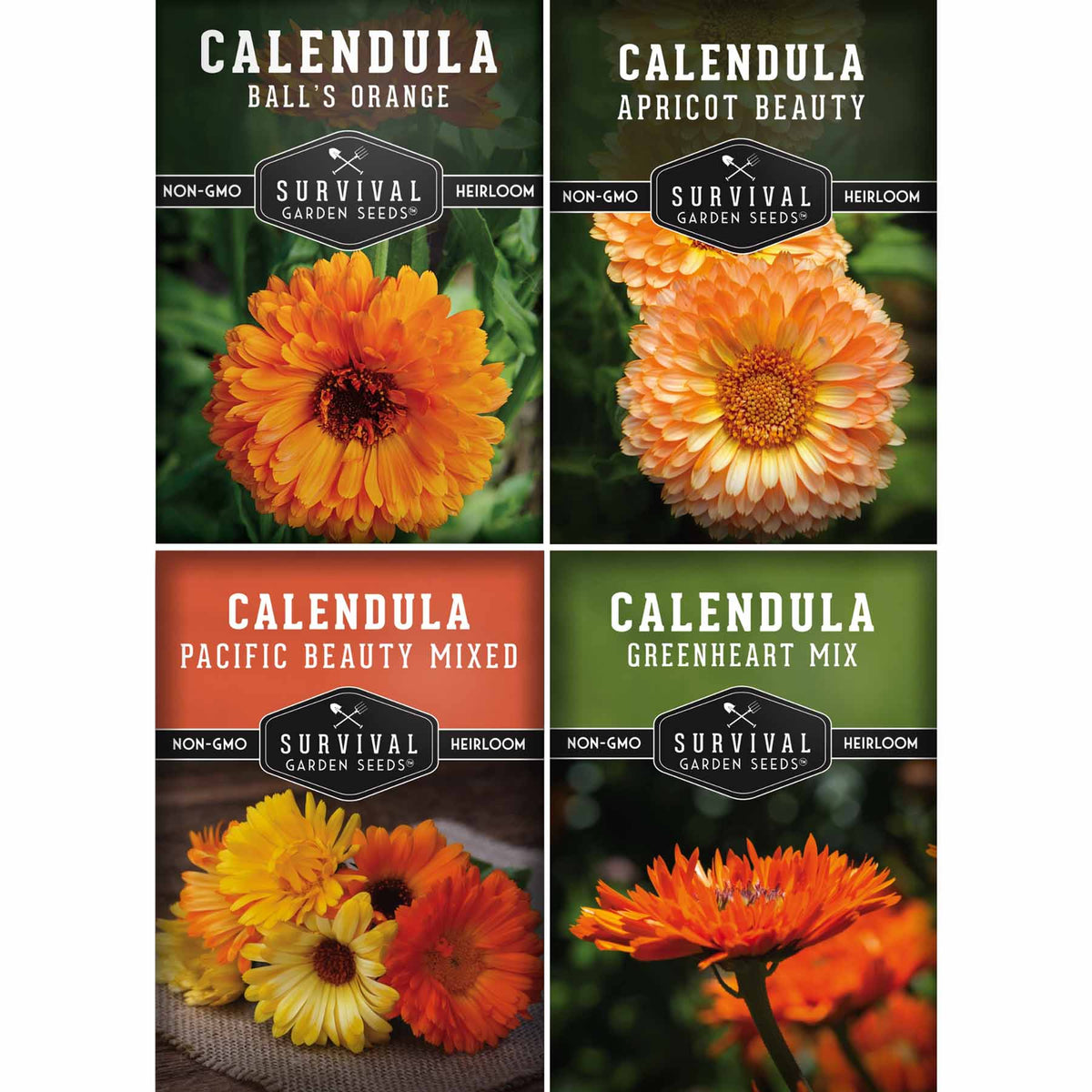 Calendula Seed Collection – 4 Pack – SurvivalGardenSeeds