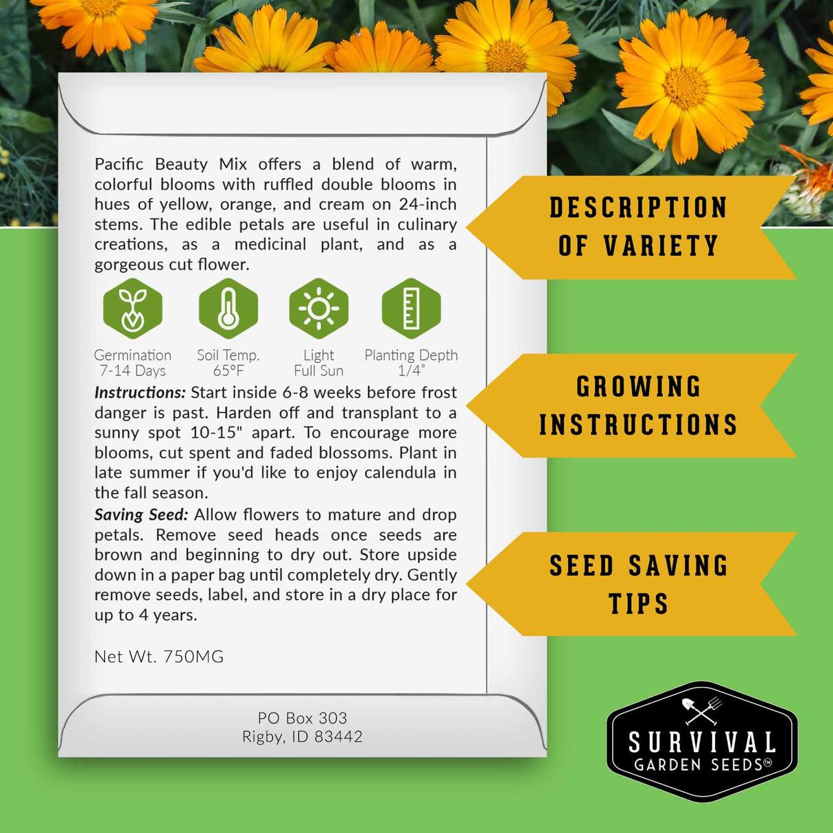 Seed packet for Pacific Beauty Mix with growing instructions and seed saving tips on a green background with flowers.