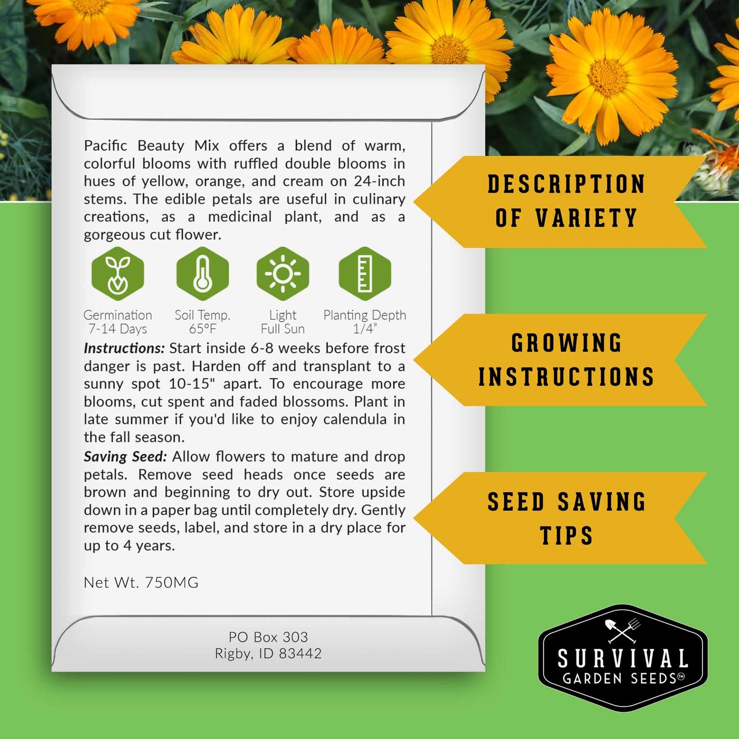 Seed packet for Pacific Beauty Mix with growing instructions and seed saving tips on a green background with flowers.