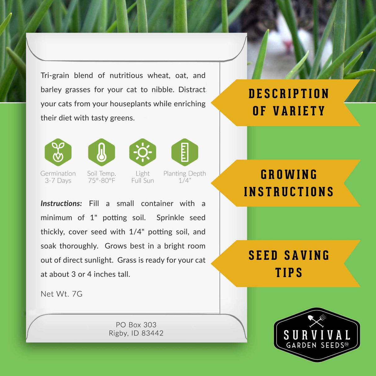 Cat GrassSeed packet with growing instructions and product details on a green background