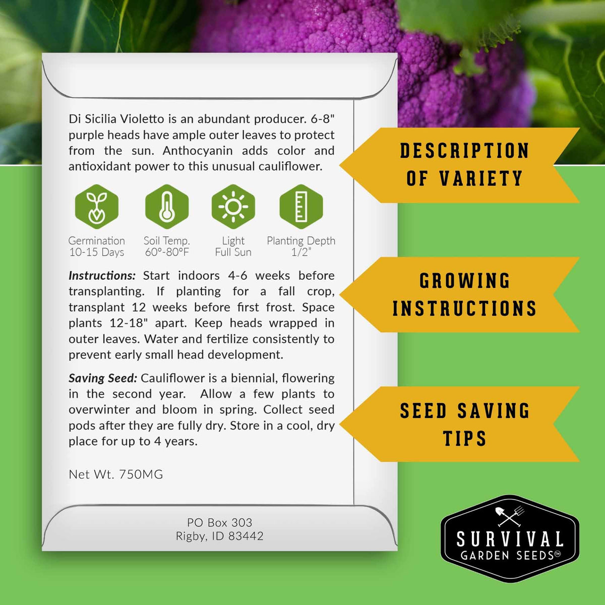Informational seed packet for Di Sicilia Violetto cauliflower including growing and seed saving instructions.