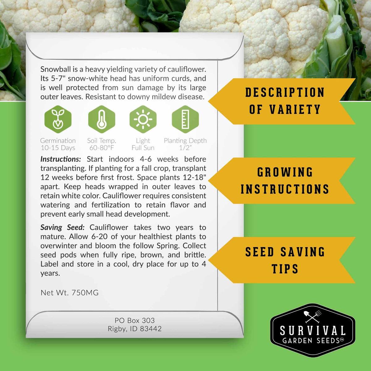 An informational product card for Survival Garden Seeds' Snowball variety of cauliflower, set against a background of green leaves and white cauliflower florets. The card contains text and icons detailing growing instructions, seed saving tips, and variety characteristics.