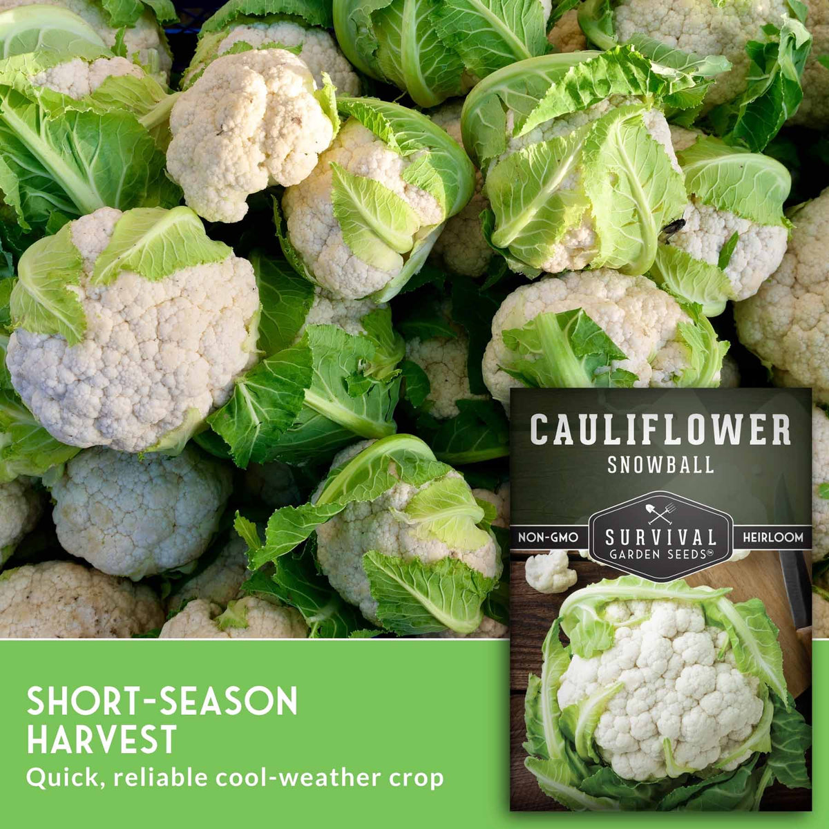 Close-up of multiple snowball cauliflower heads with green leaves, alongside a seed packet labeled 'Cauliflower Snowball' and text reading 'Short-Season Harvest' and 'Quick, reliable cool-weather crop.'.