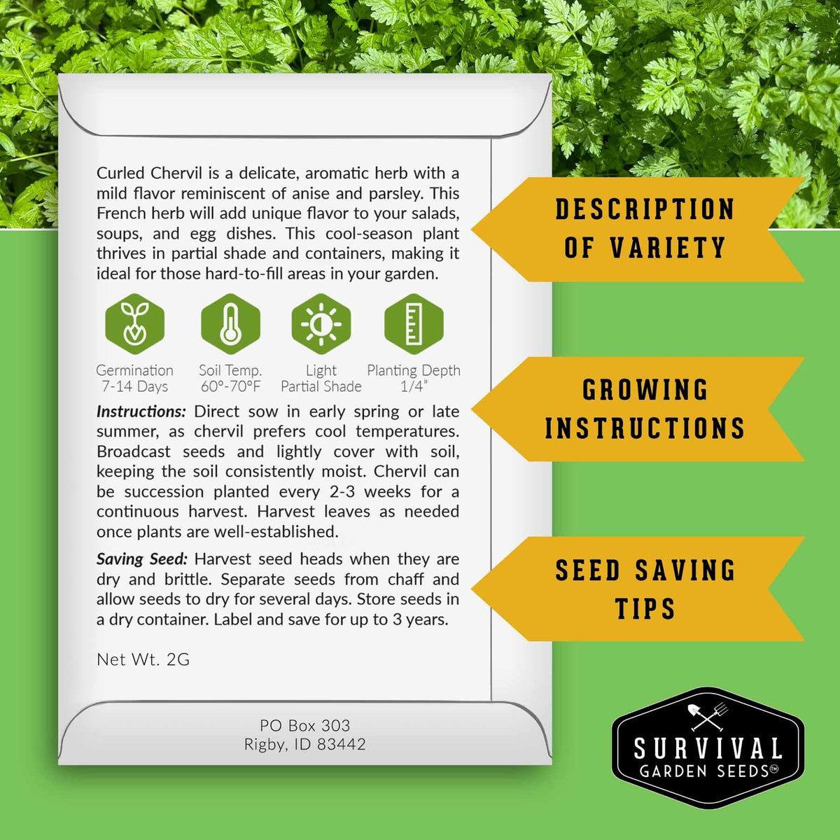 A vertical white label card with text and icons about Chervil, overlaid on a green leafy garden background. The card includes variety description, growing instructions, planting depth, germination, and saving seed information.