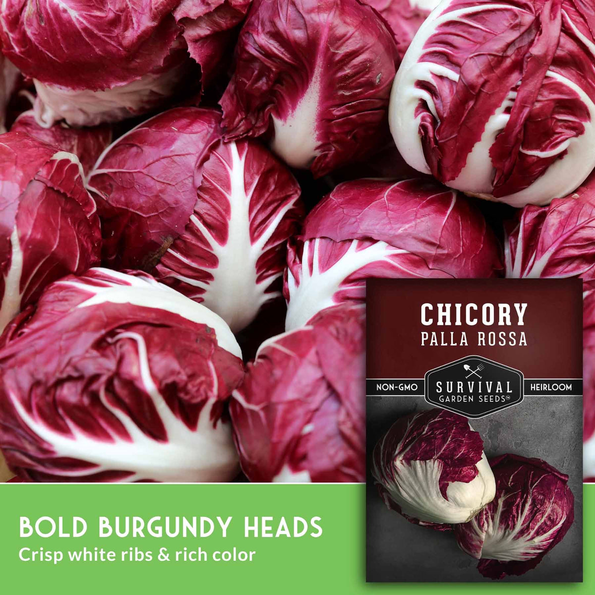 A close-up pile of fresh chicory leaves with deep burgundy-red and white marbling, plus a seed packet labeled 'Chicory Palla Rossa' and text reading 'Bold Burgundy Heads.' This is not a clean standalone product shot because the produce fills the frame and promotional text overlays are present, but there is no person or real environment; the best fit is Product/Packaging rather than Lifestyle or auxiliary categories.