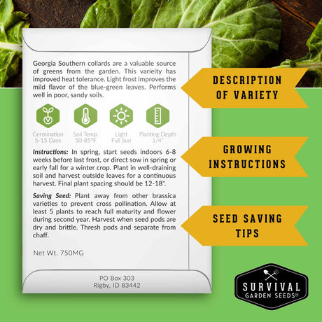 Georgia Southern Collard greens seed packet with growing instructions and seed saving information