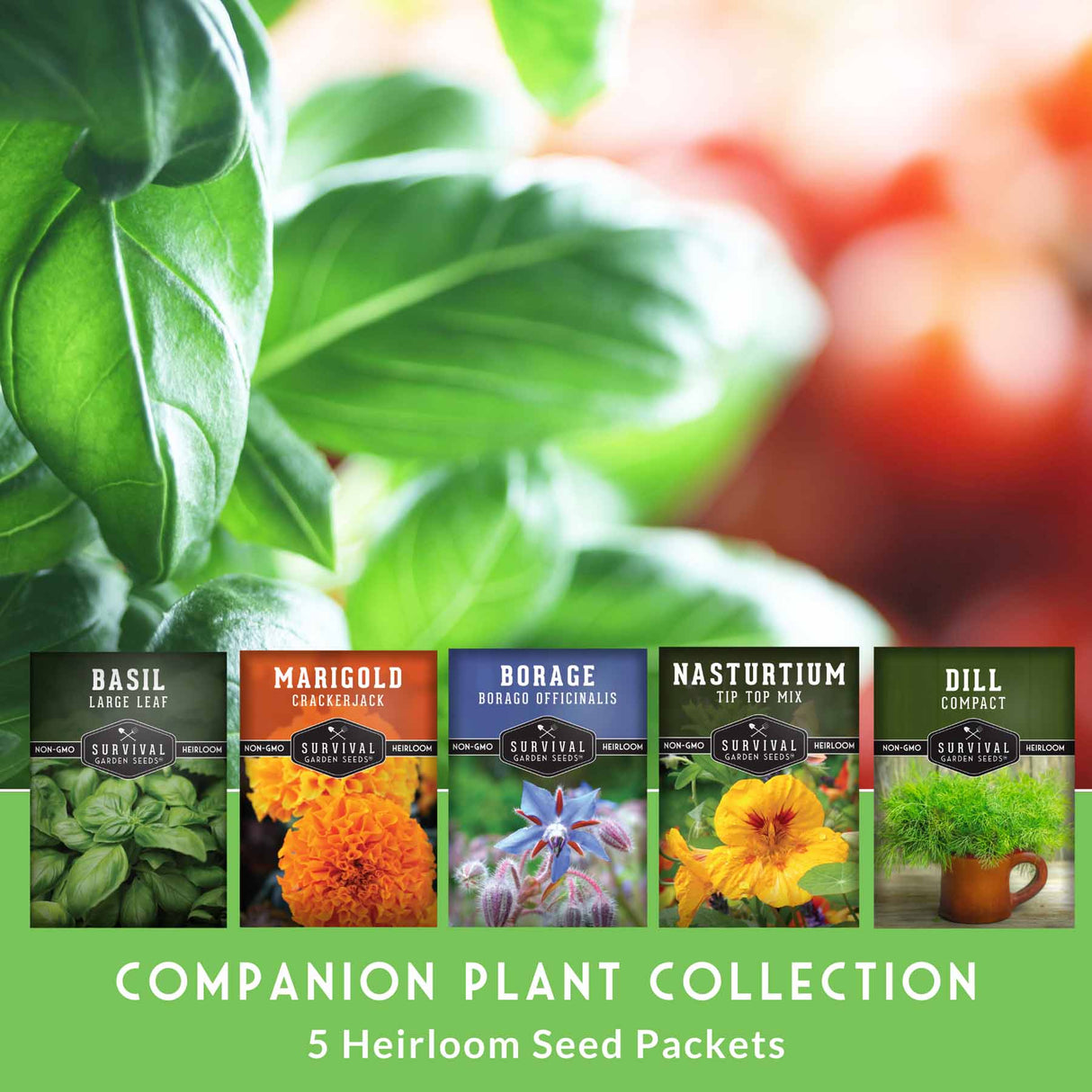 Set of five heirloom seed packets with plant images and names, against a green background with blurred plants and fruits.