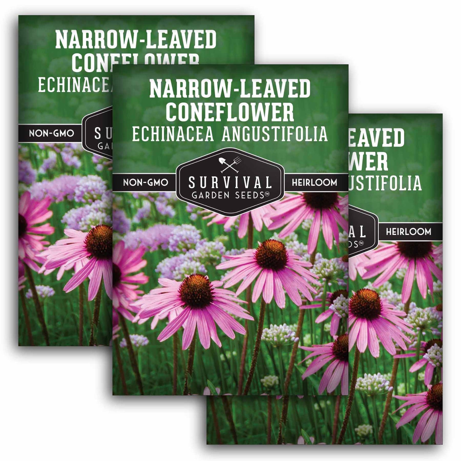 3 Packets of Narrow-Leaved Coneflower Seeds