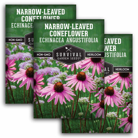 3 Packets of Narrow-Leaved Coneflower Seeds