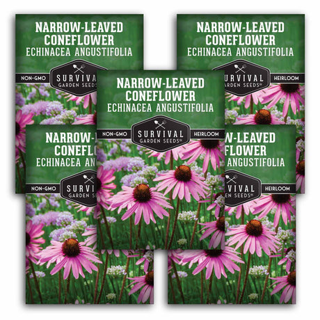 5 Packets of Narrow-Leaved Coneflower Seeds