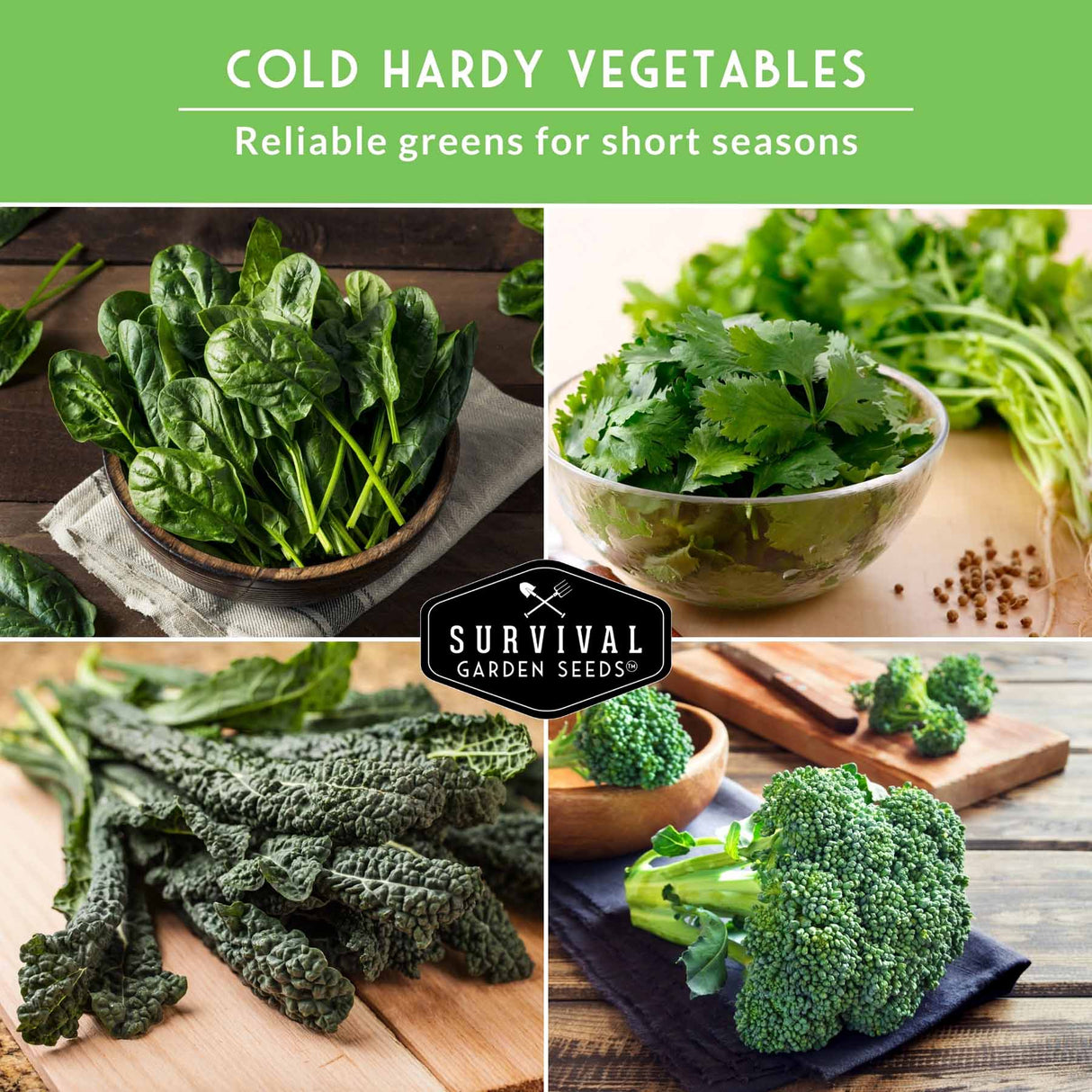 Collage of cold-hardy vegetables with 'Survival Garden Seeds' logo.