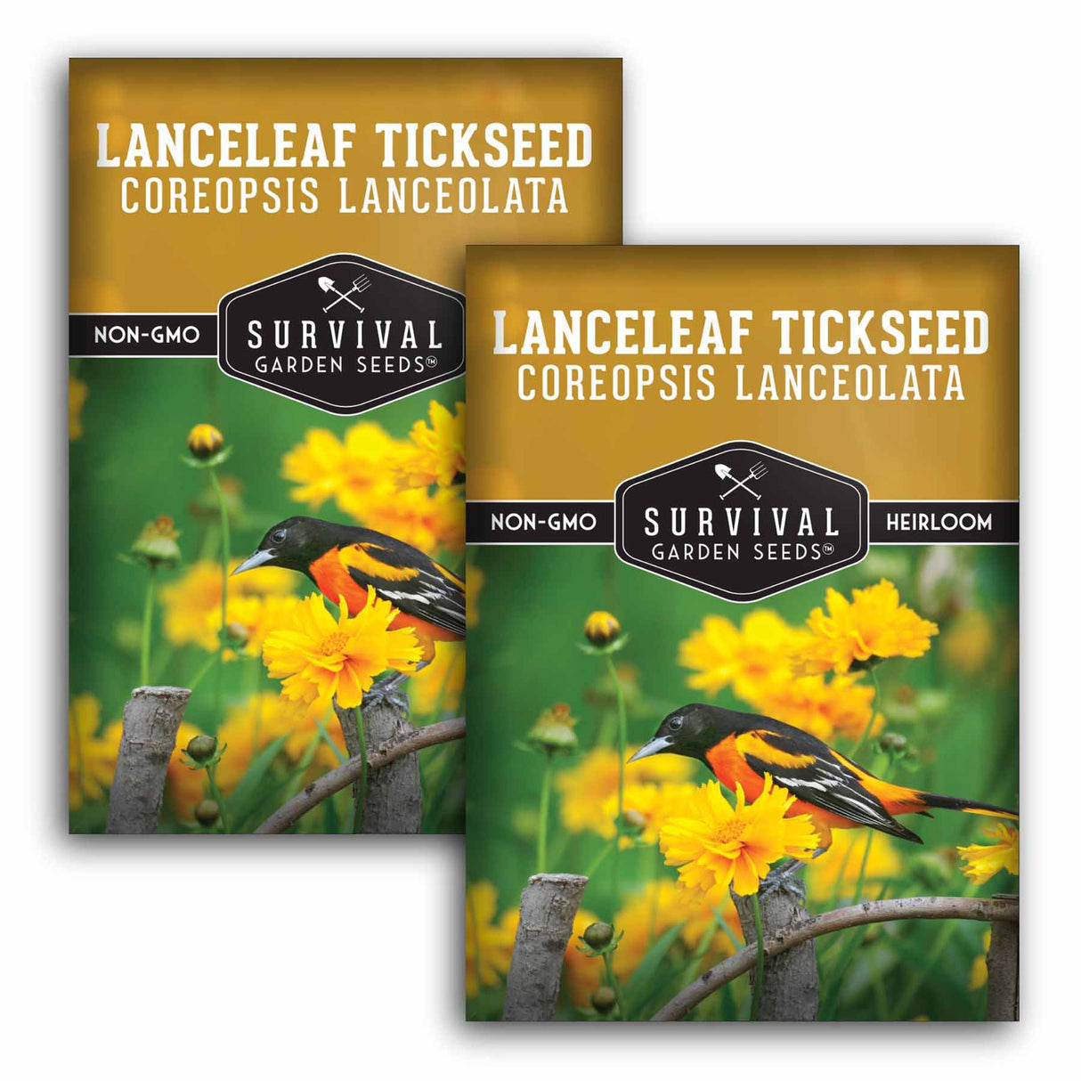 2 Packets of Lanceleaf Tickseed seeds