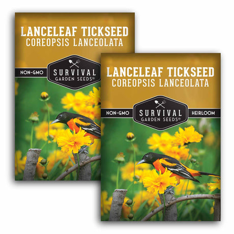 2 Packets of Lanceleaf Tickseed seeds