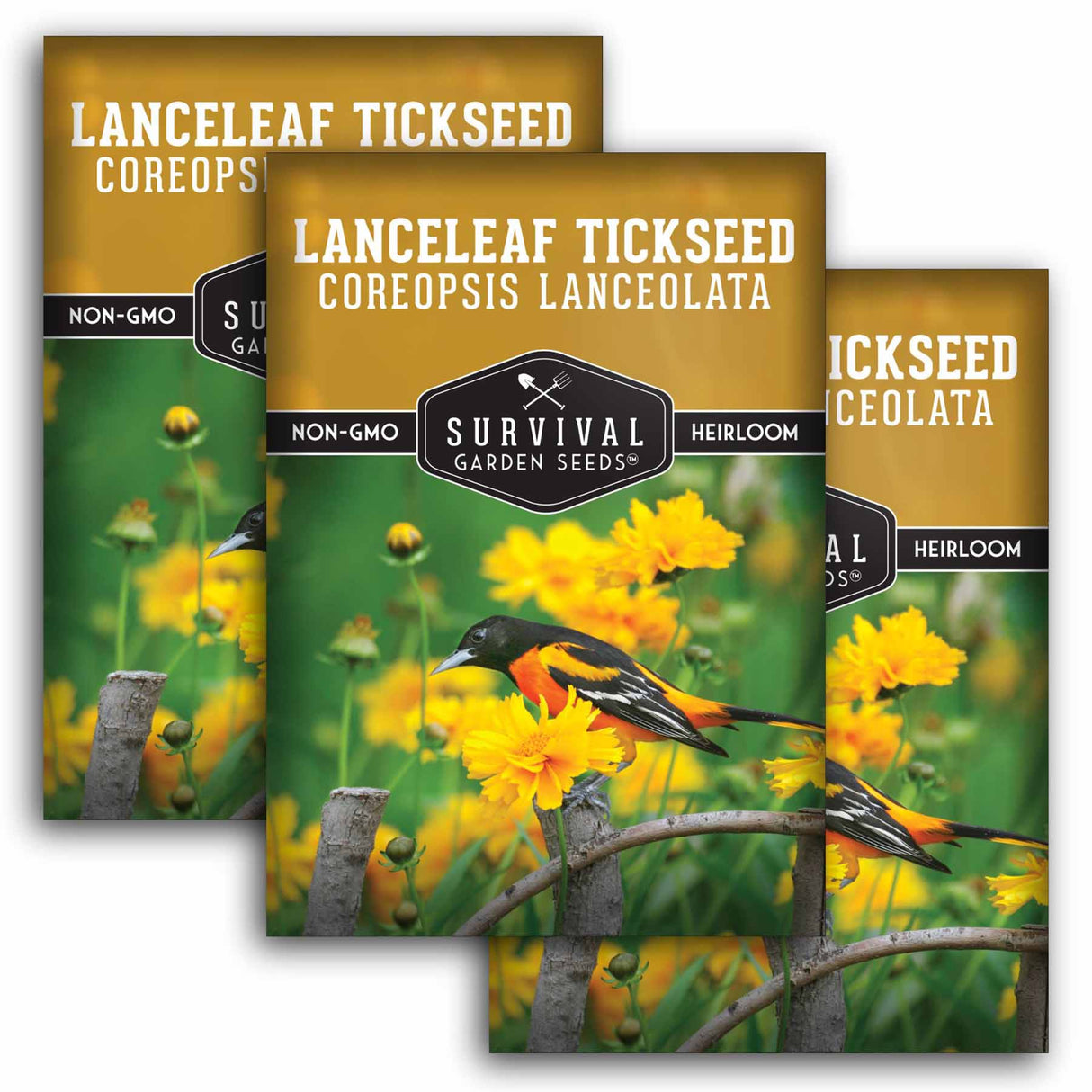 3 Packets of Lanceleaf Tickseed seeds