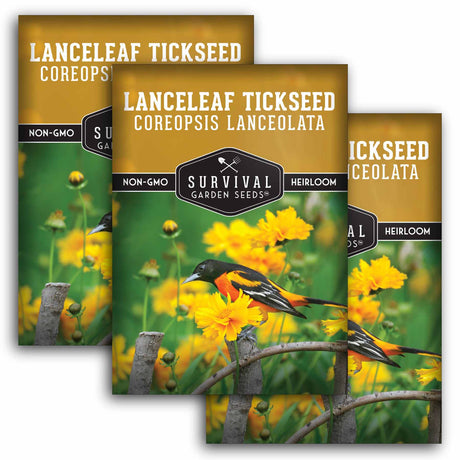 3 Packets of Lanceleaf Tickseed seeds