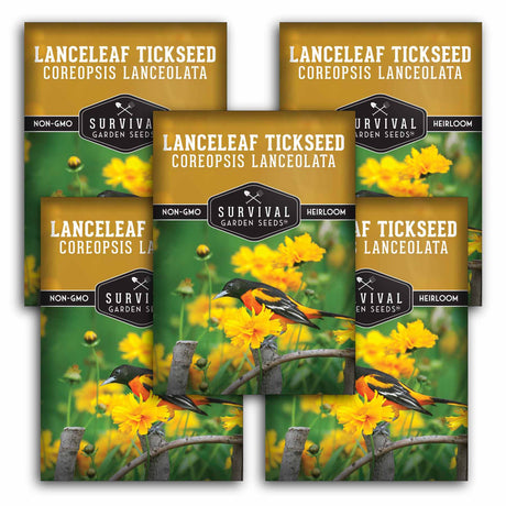 5 Packets of Lanceleaf Tickseed seeds