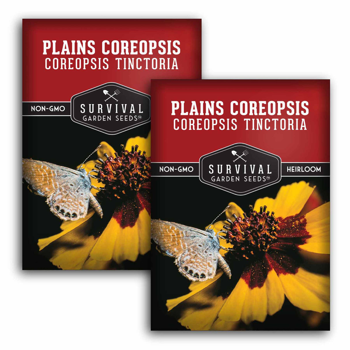 2 Packets of Plains Coreopsis seeds