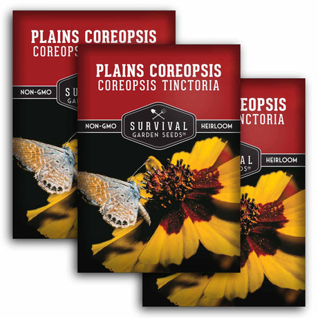 3 Packets of Plains Coreopsis seeds