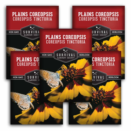 5 Packets of Plains Coreopsis seeds