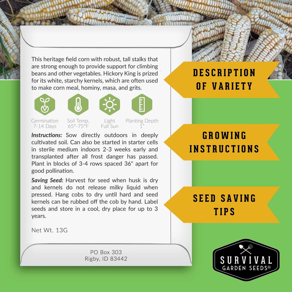 A product information card for 'Hickory King' corn from Survival Garden Seeds, displayed over a background of harvested corn cobs and informational text overlays detailing growing instructions and seed saving tips.