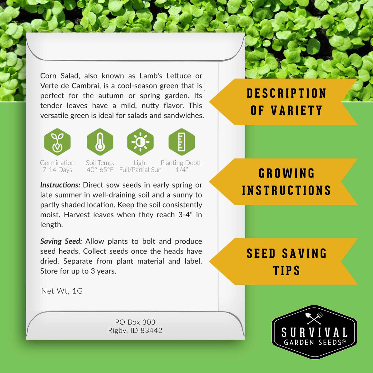 A green and white informational poster for Survival Garden Seeds corn salad, detailing variety description, growing instructions, and seed-saving tips, set against a background of green corn leaves.