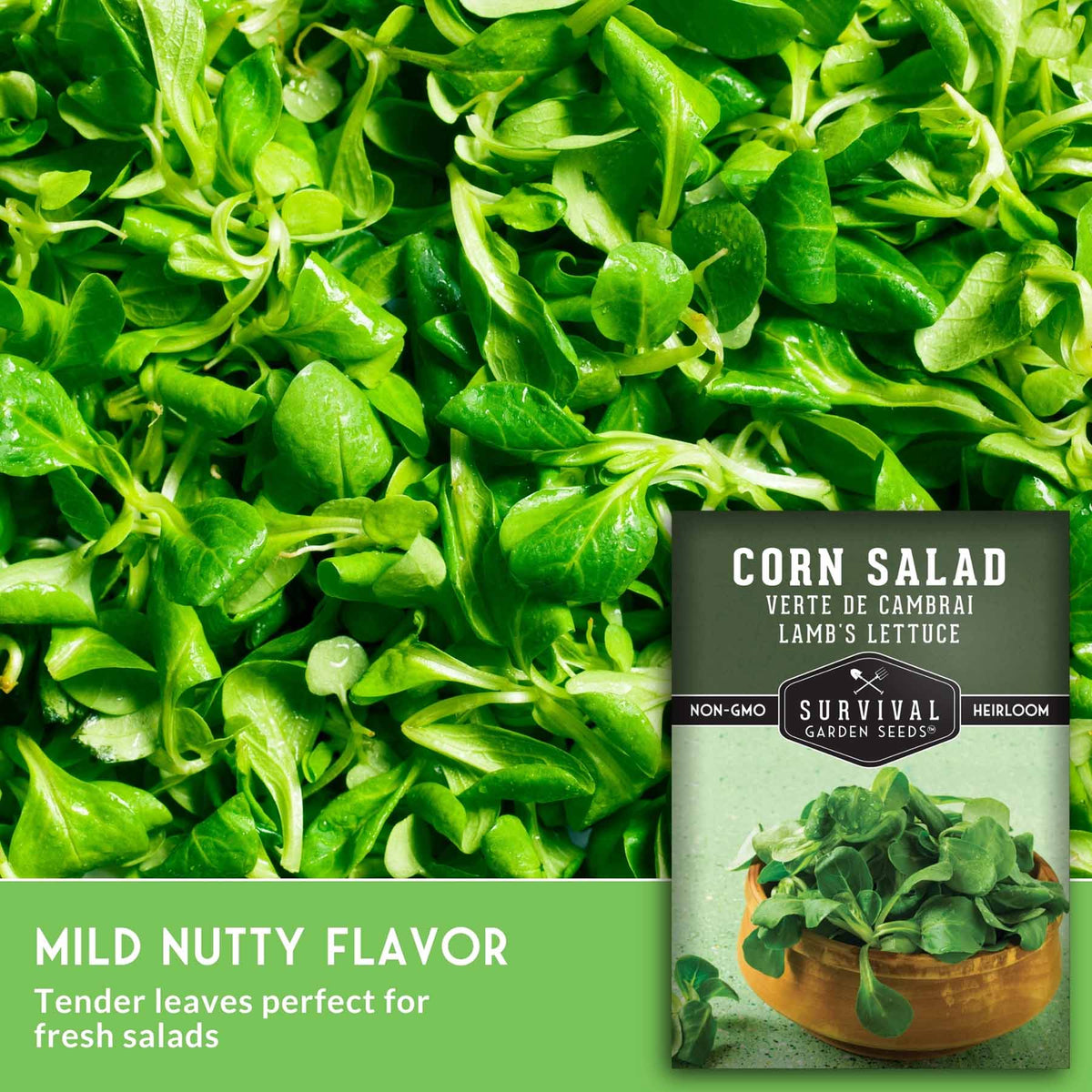 A close-up of fresh green corn salad leaves filling the frame, with a seed packet labeled 'Corn Salad' placed in the lower right. Text at the bottom reads 'Mild Nutty Flavor' and 'Tender leaves perfect for fresh salads.