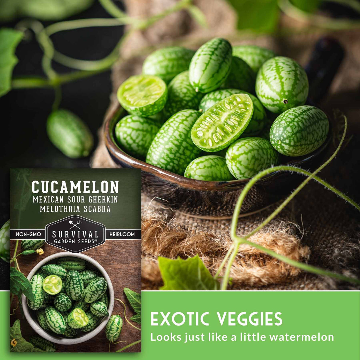 Cucamelons in a bowl with text about cucamelons and Survival Garden Seeds branding.