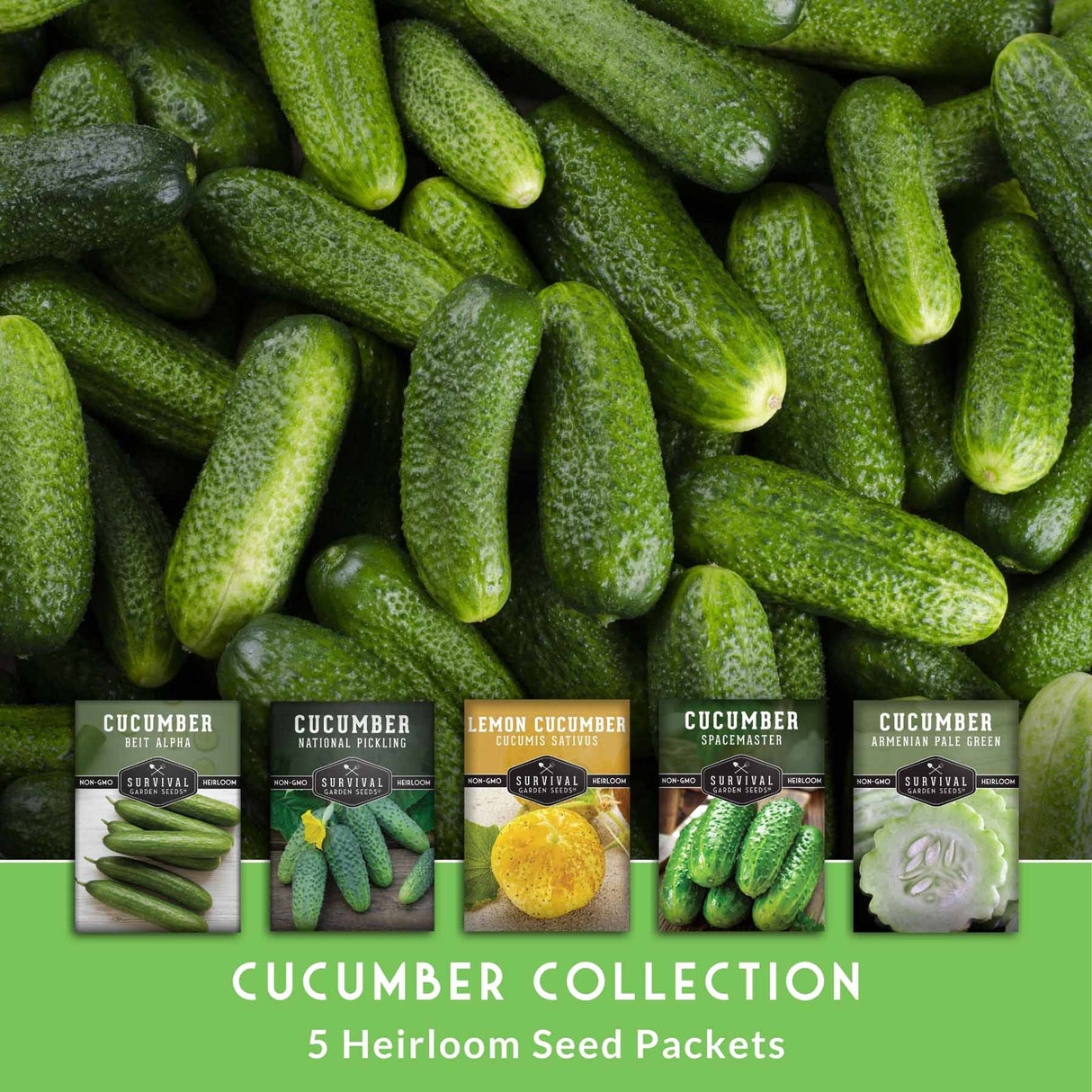 A close-up photo of many green cucumbers filling the frame, with five seed packet packages shown along the bottom and text reading 'CUCUMBER COLLECTION' and '5 Heirloom Seed Packets.'
